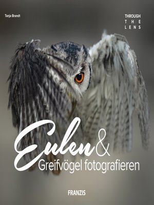 cover image of Eulen & Greifvögel fotografieren